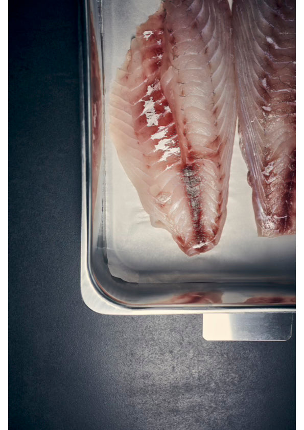CHRISTMAS PRE-ORDER: Snapper fillets (Delivery 23 December)