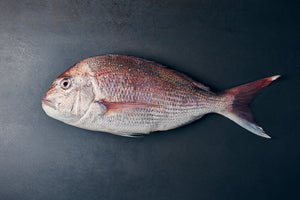 fresh snapper fillets