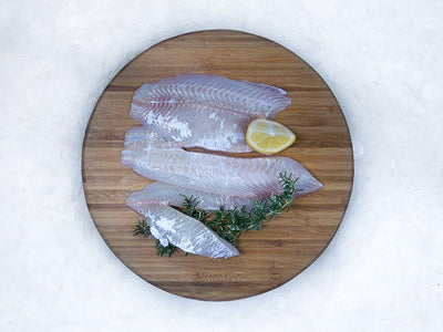 Fresh Tarakihi Fillets - Wildfish Export