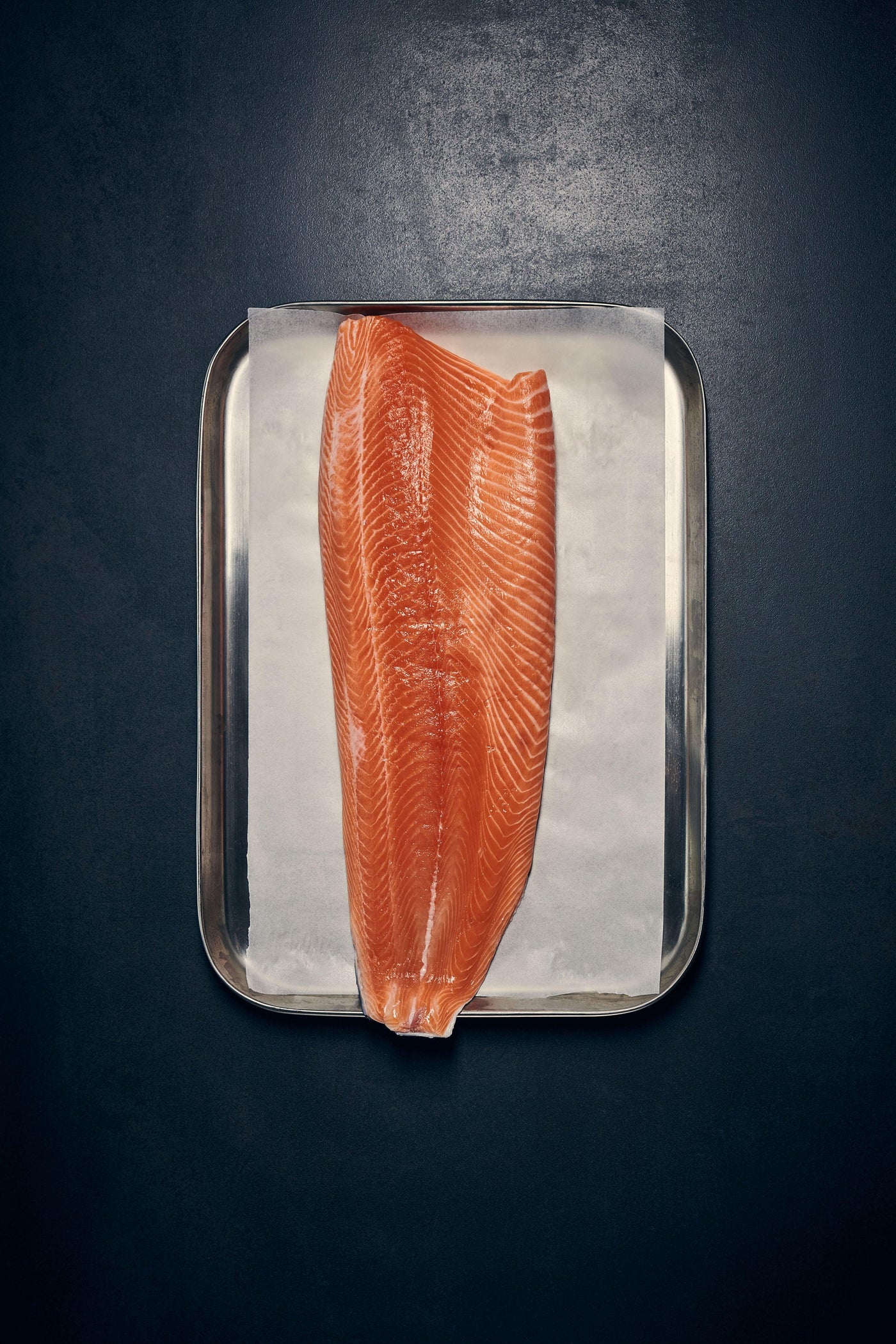 Fresh Salmon Fillets - Wildfish Export